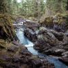 Water flowing near Little Qualicum Falls, Vancouver Island 